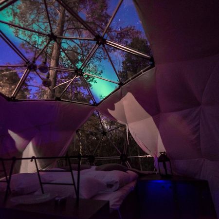 Glod Aurora Canvas Dome Alta Bagian luar foto