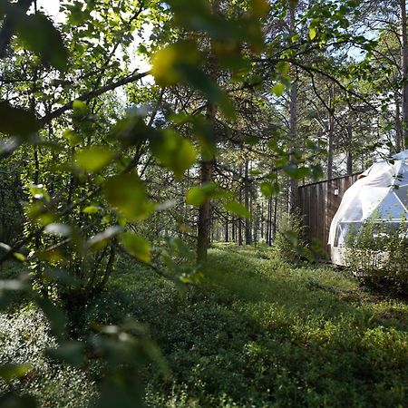 Glod Aurora Canvas Dome Alta Bagian luar foto