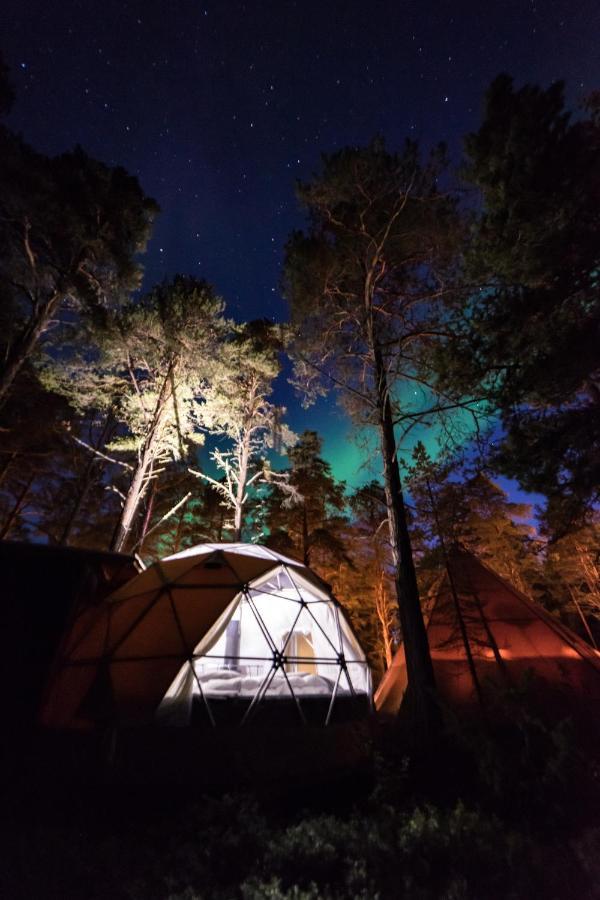 Glod Aurora Canvas Dome Alta Bagian luar foto