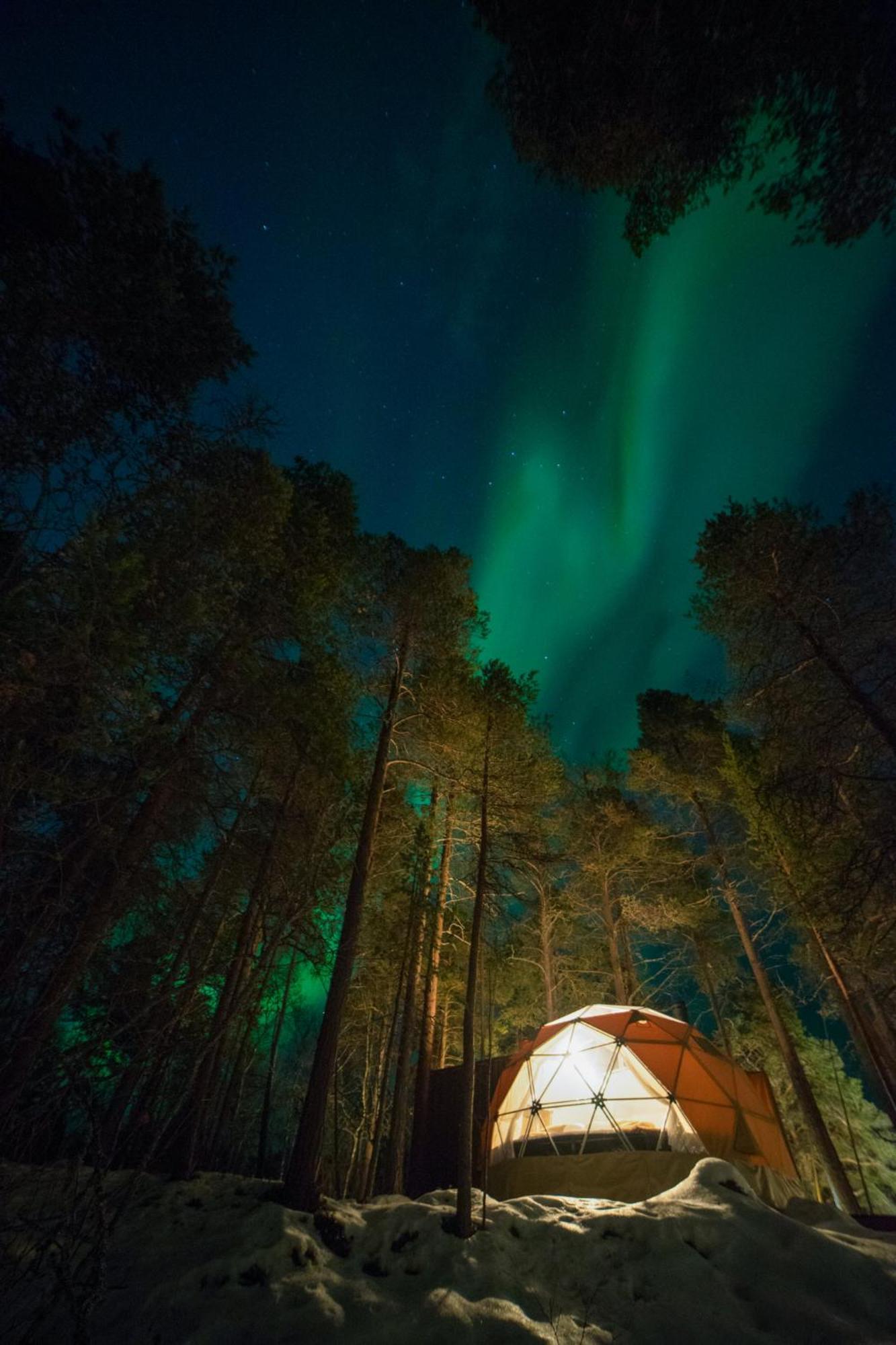 Glod Aurora Canvas Dome Alta Bagian luar foto