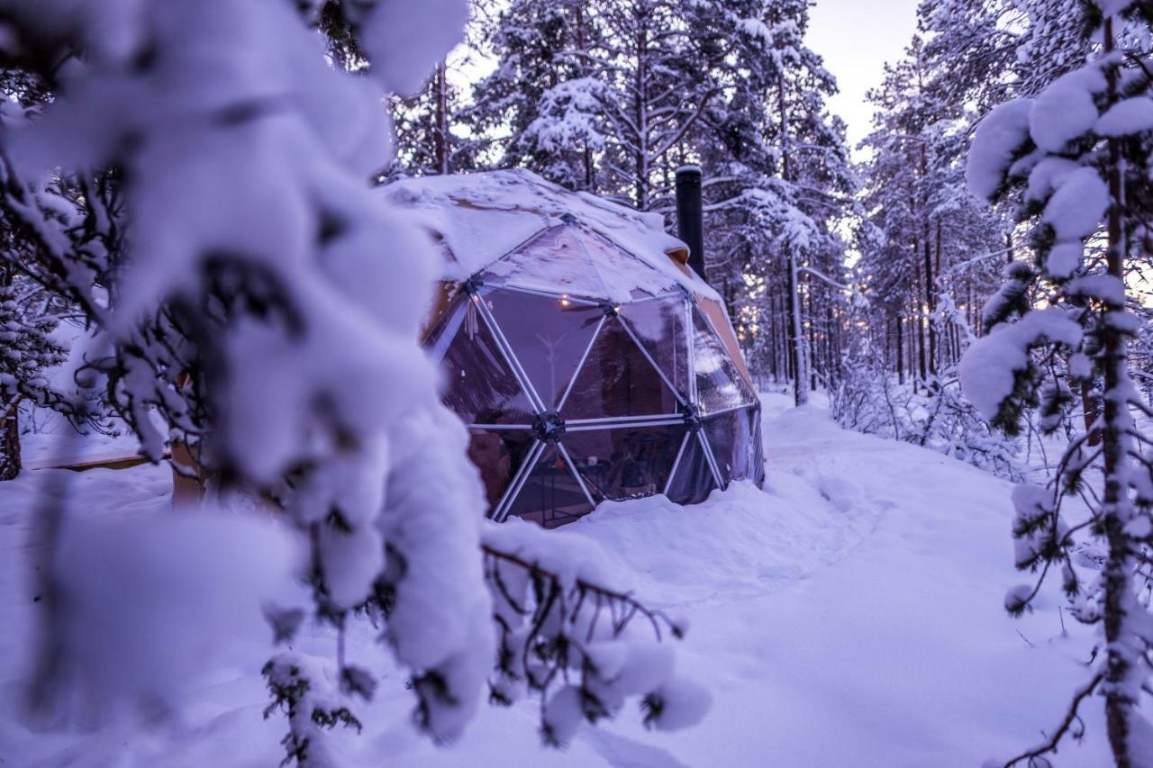 Glod Aurora Canvas Dome Alta Bagian luar foto