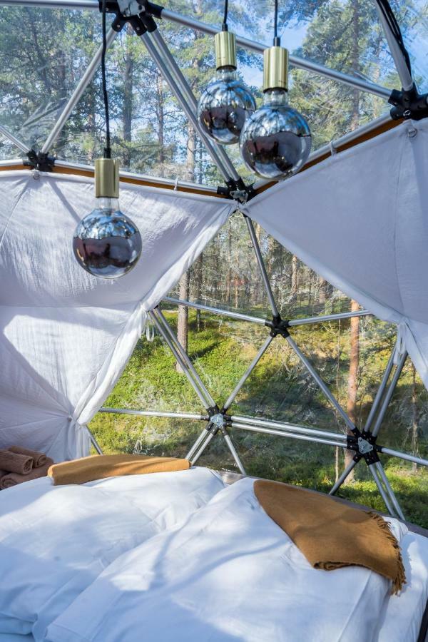 Glod Aurora Canvas Dome Alta Bagian luar foto